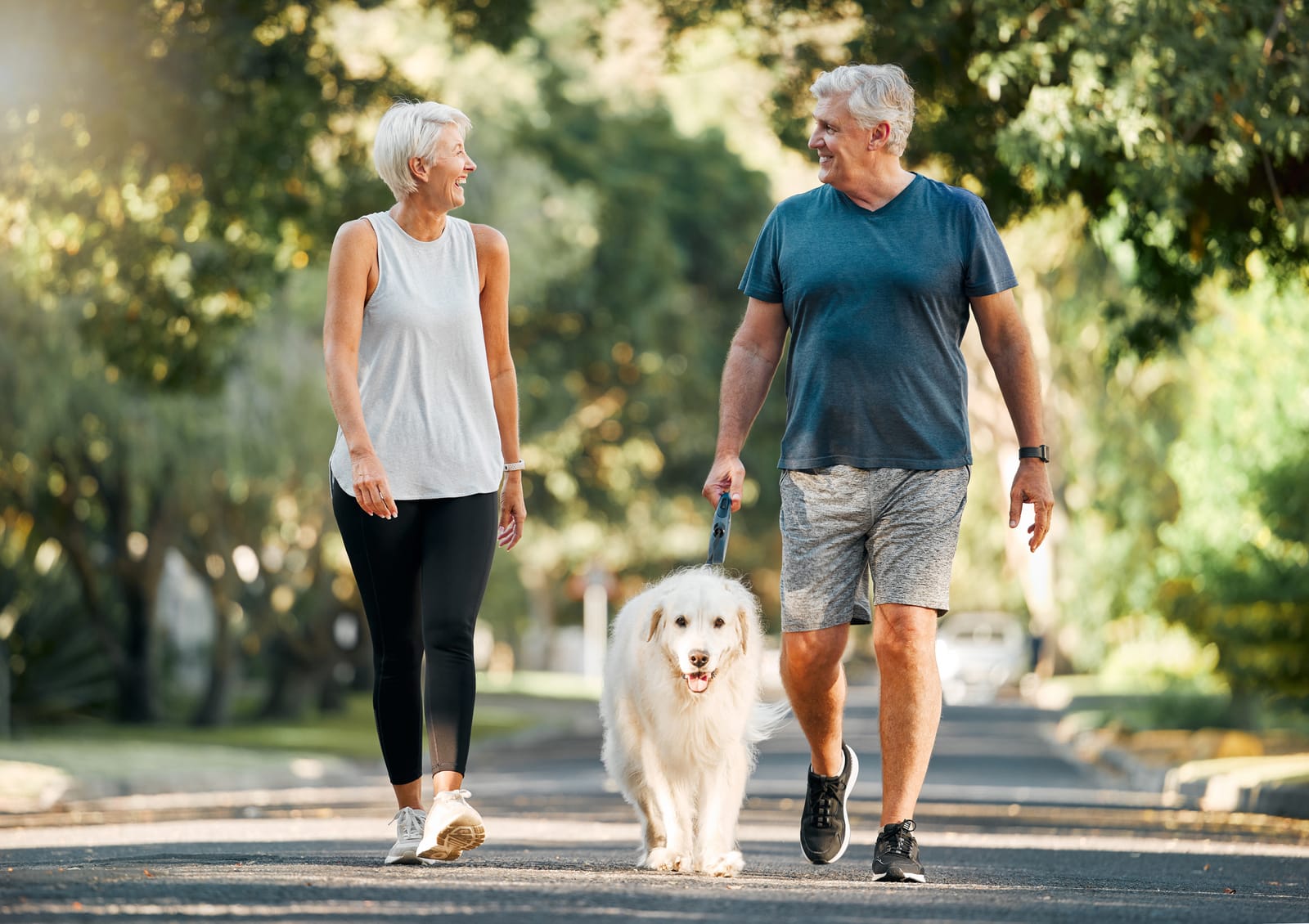 A retired couple laughing while walking their golden retriever