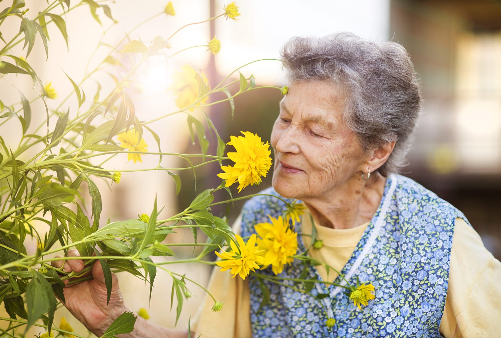 A smiling older woman smelling yellow flowers in her garden